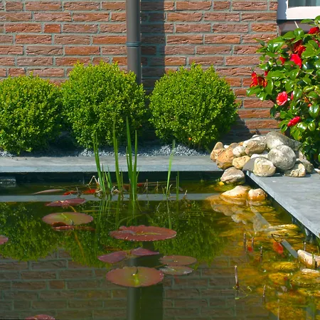 De Magneet 3*